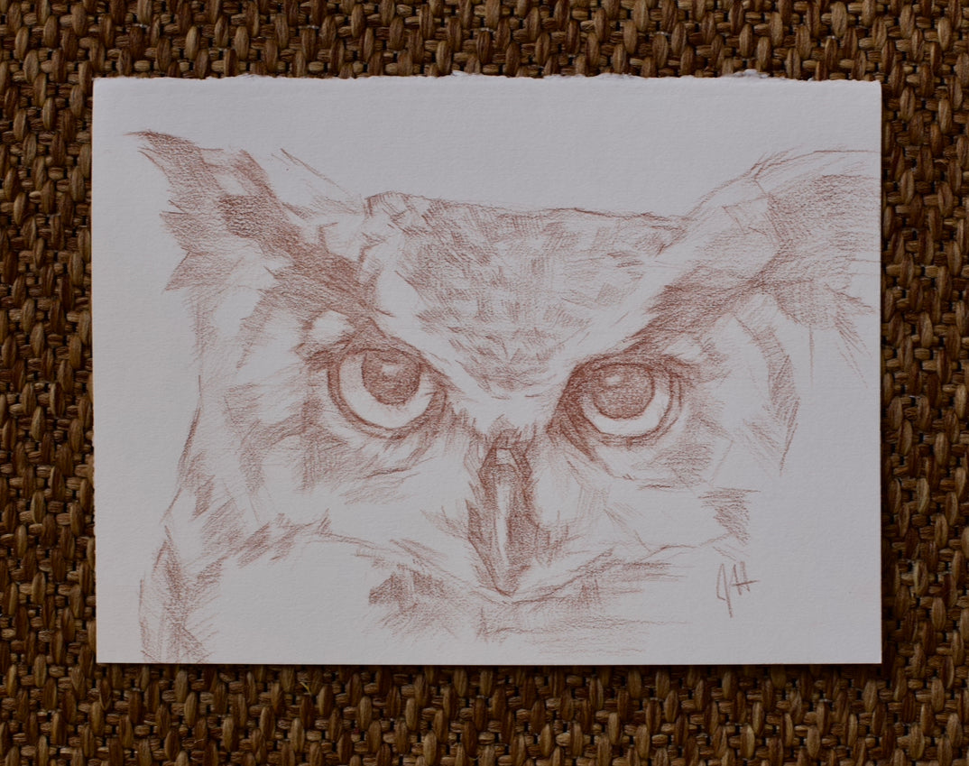 Original Owl Drawing