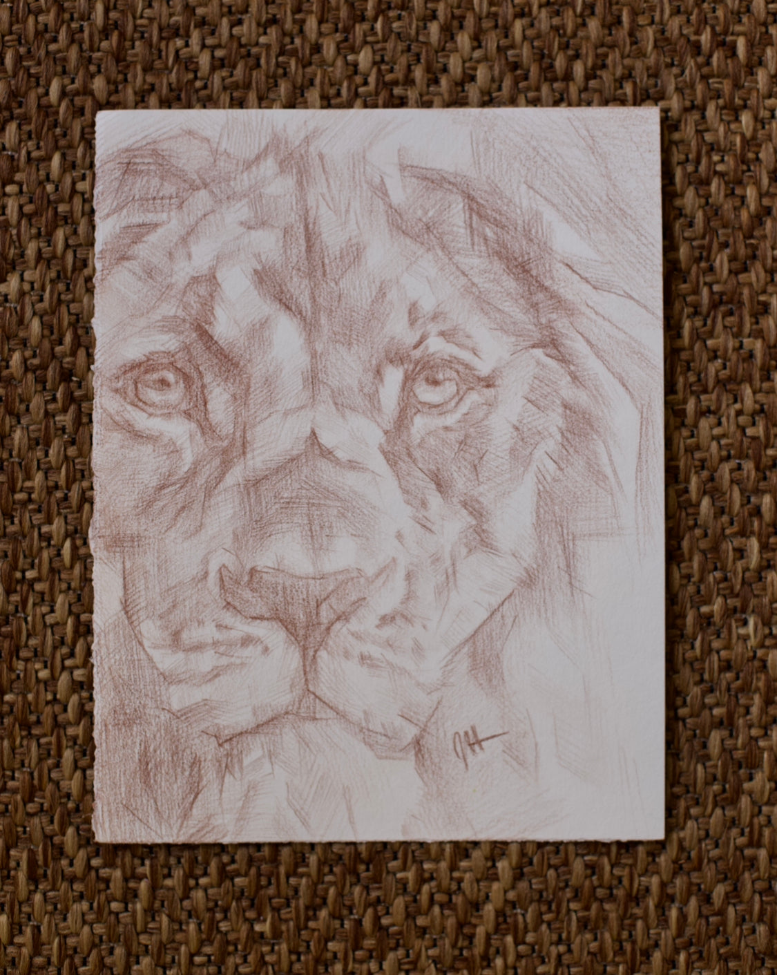 Original Lion Drawing