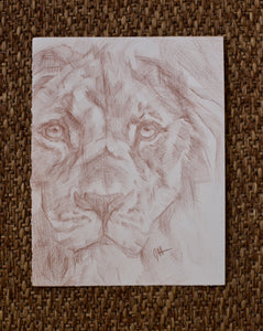 Original Lion Drawing